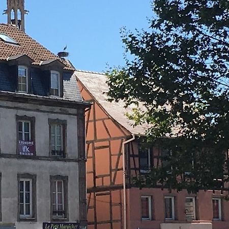 Les Hauts De Colmar Apartamento Exterior foto