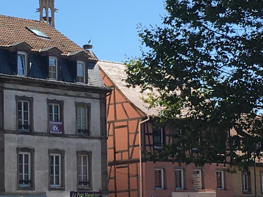 Les Hauts De Colmar Apartamento Exterior foto